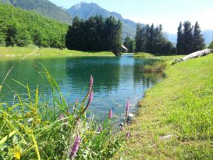 lago-pesca-mosca-trota-vco-agriturismo-50